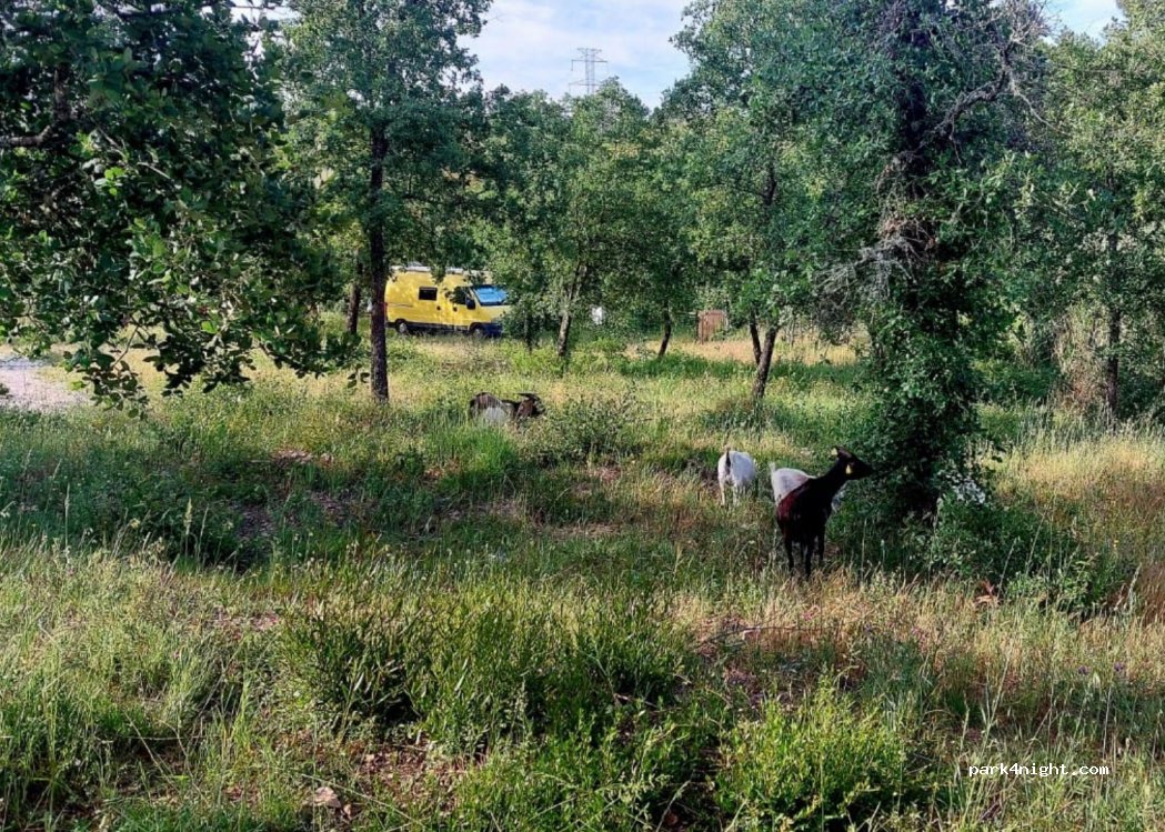 Quinta da Choupana — foto 3