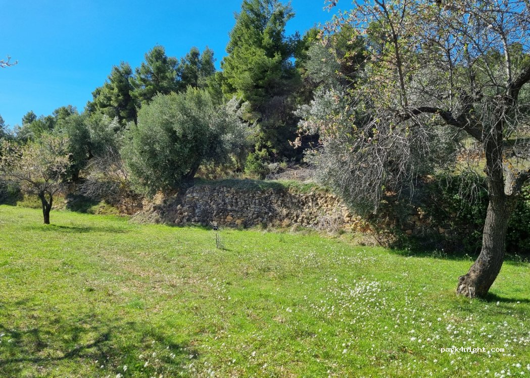 (44596) La Fresneda - Racó de'n Febre s/n — foto 3