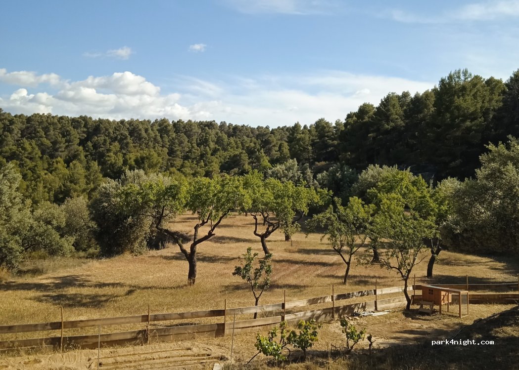 (44596) La Fresneda - Racó de'n Febre s/n — foto 4