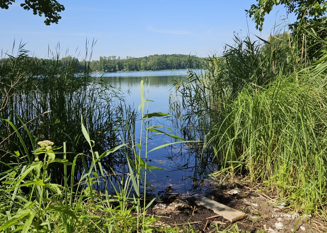 (66) Grzmikoło - Unnamed Road — foto 3