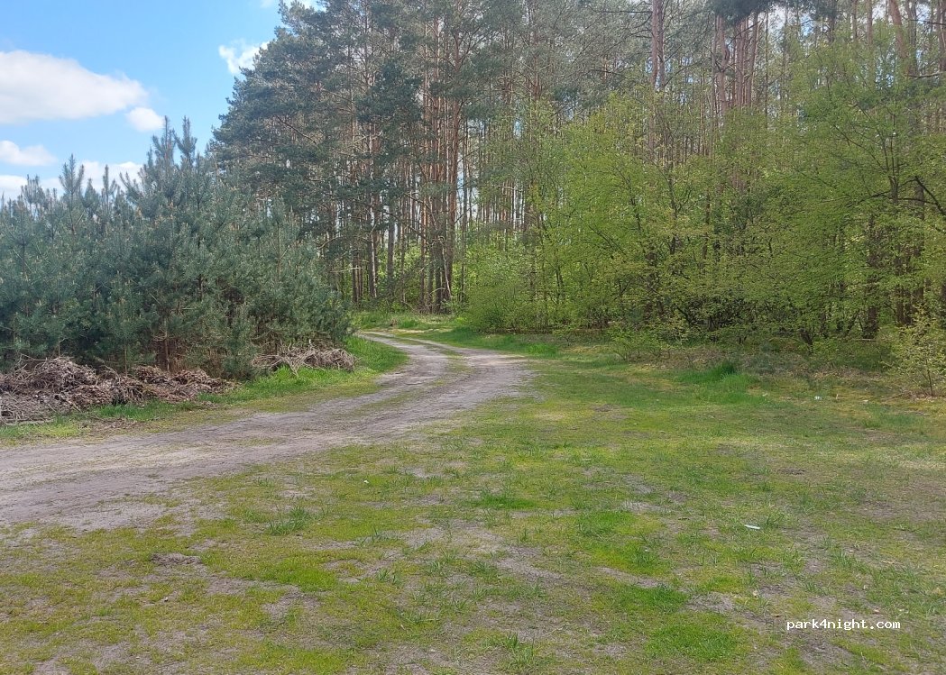 (16515) Oranienburg - 11 Veltener Straße — foto