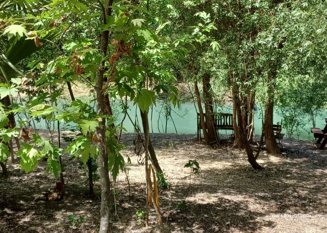 Ördekli kamp ve piknik alanı — foto 3