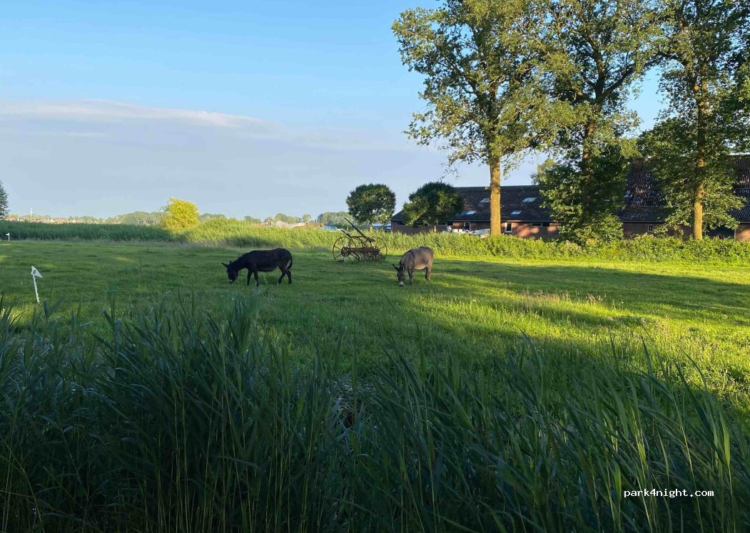 Camping Dwarsgracht — foto 2