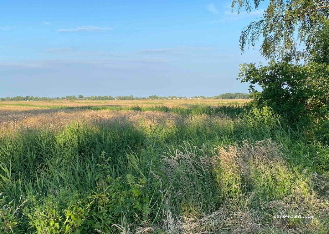 Camping Dwarsgracht — foto 4