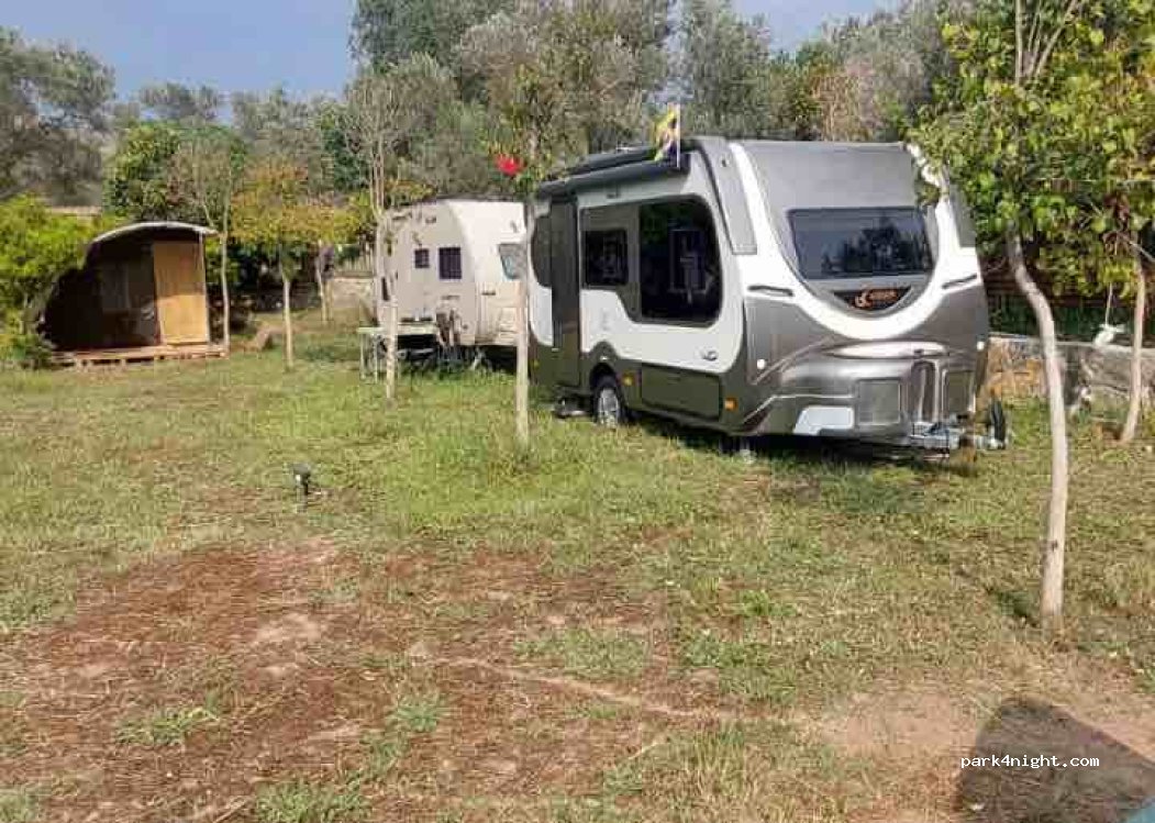 Bodrum Masali Camping — foto 2