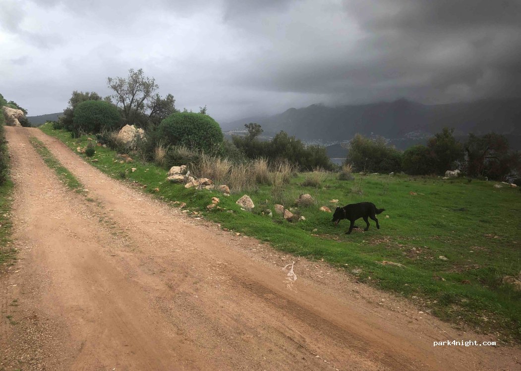 (07976) Gelemiş - — foto 3