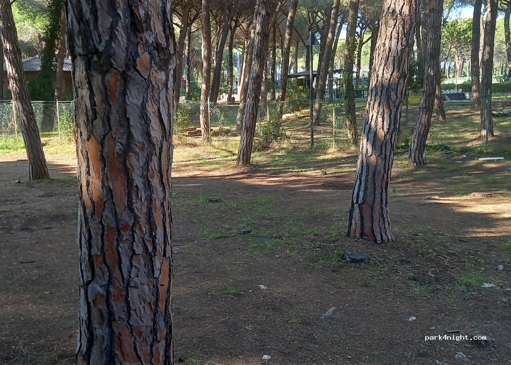 (58100) Marina di Grosseto - 13 Via Pietro Maroncelli — foto