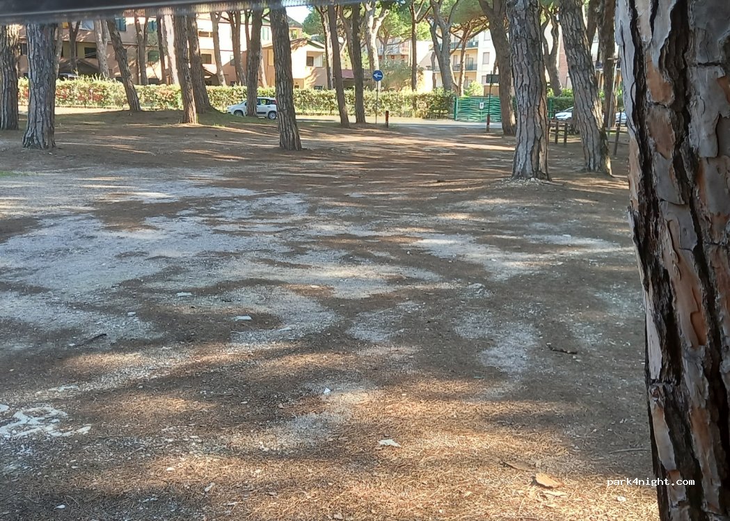 (58100) Marina di Grosseto - 13 Via Pietro Maroncelli — foto 3