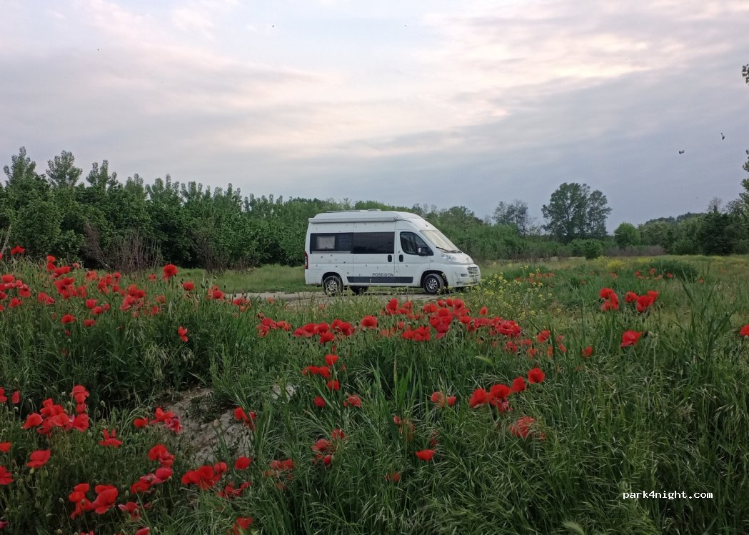 (12060) Verduno - Unnamed road — foto