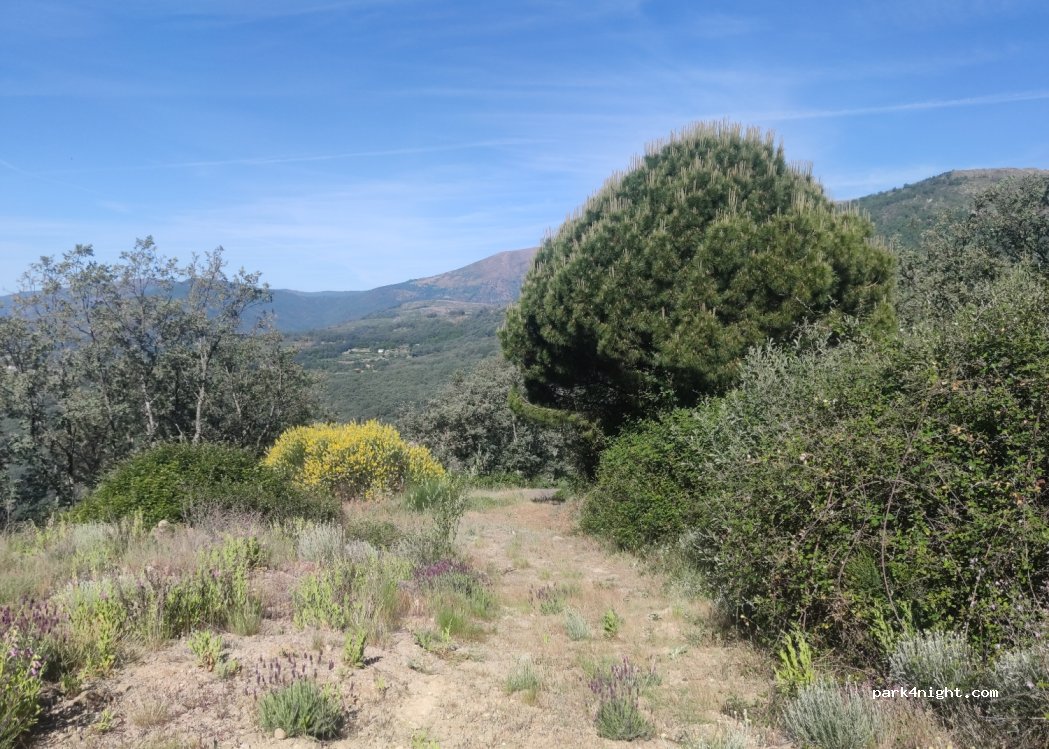 (10459) Guijo de Santa Bárbara - — foto 2