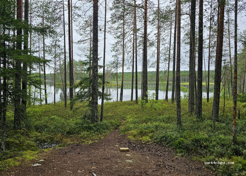 (82967) Polvikoski - Unnamed Road — foto 4