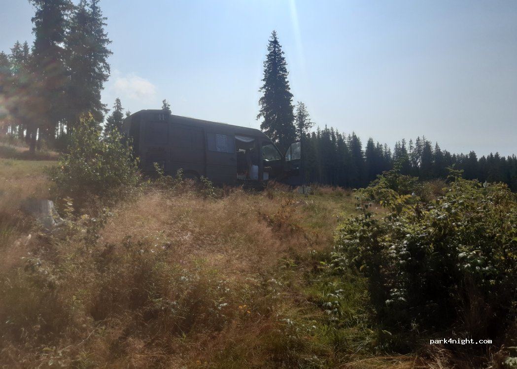 (407390) Mărișel - — foto 2