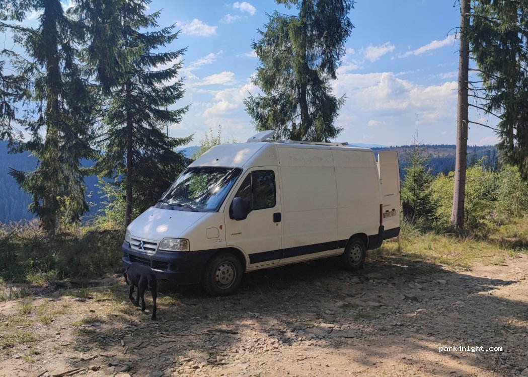 (407390) Mărișel - — foto 3