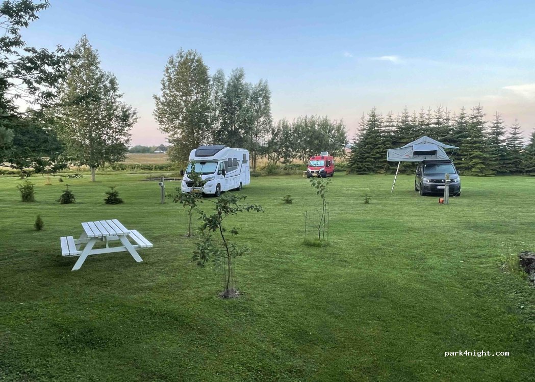 Fjeldecamp — foto