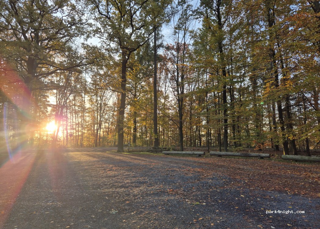 (01833) Lohmen - Unnamed Road — foto 4