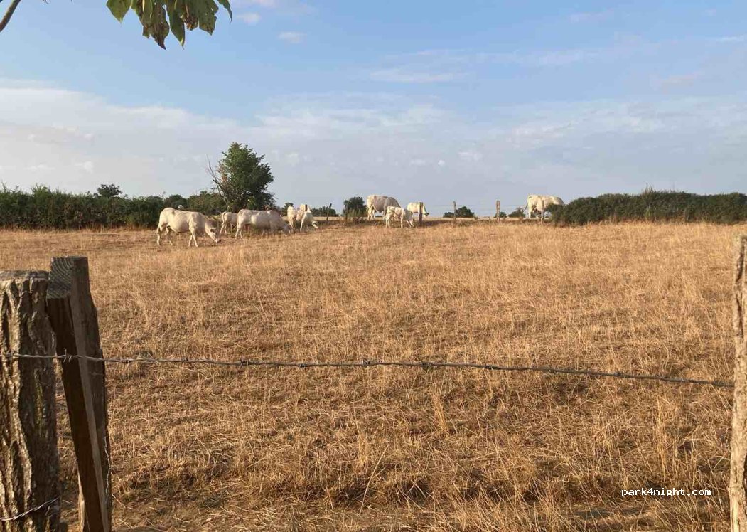 (71430) Palinges - D128 — foto 5