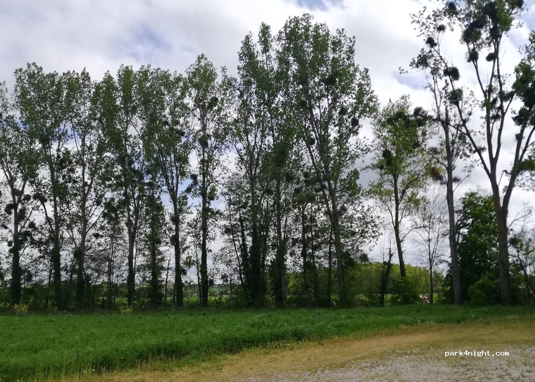 Domaine Nebout — foto