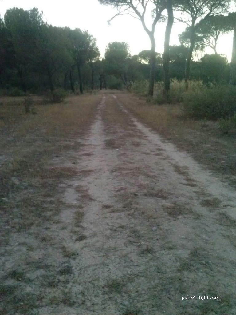 (47320) Tudela de Duero - 39 Calle Herrera — foto