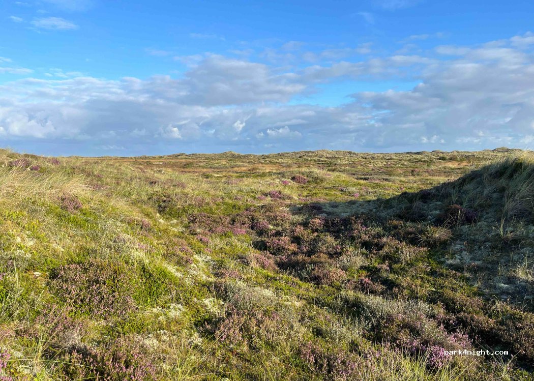(9982) Ålbæk - 1 Lodskovvadvej — foto 2