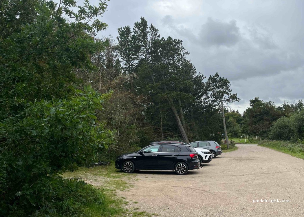 (9982) Ålbæk - 1 Lodskovvadvej — foto 3