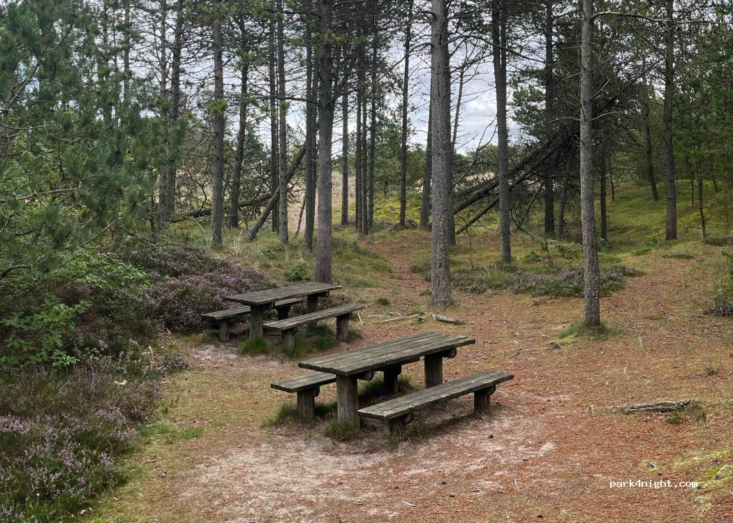 (9982) Ålbæk - 1 Lodskovvadvej — foto 4