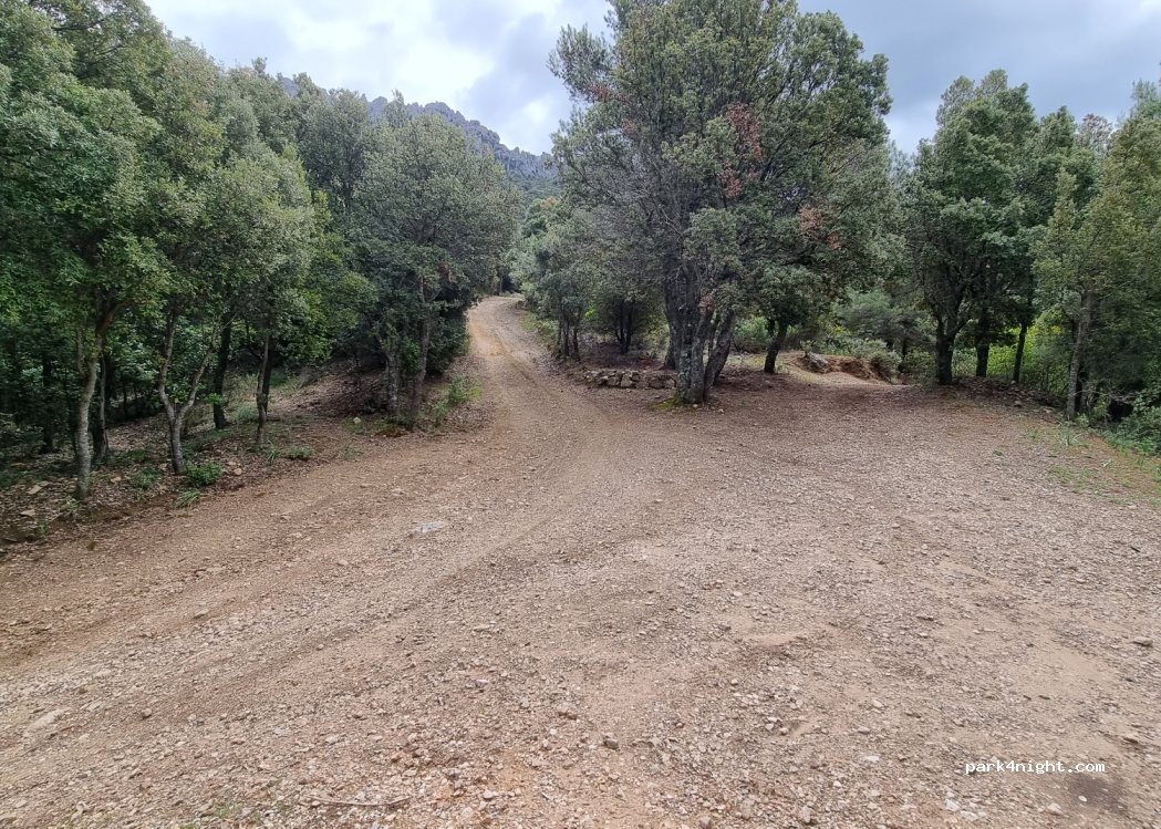 (08025) Oliena - Strada Provinciale 22 — foto