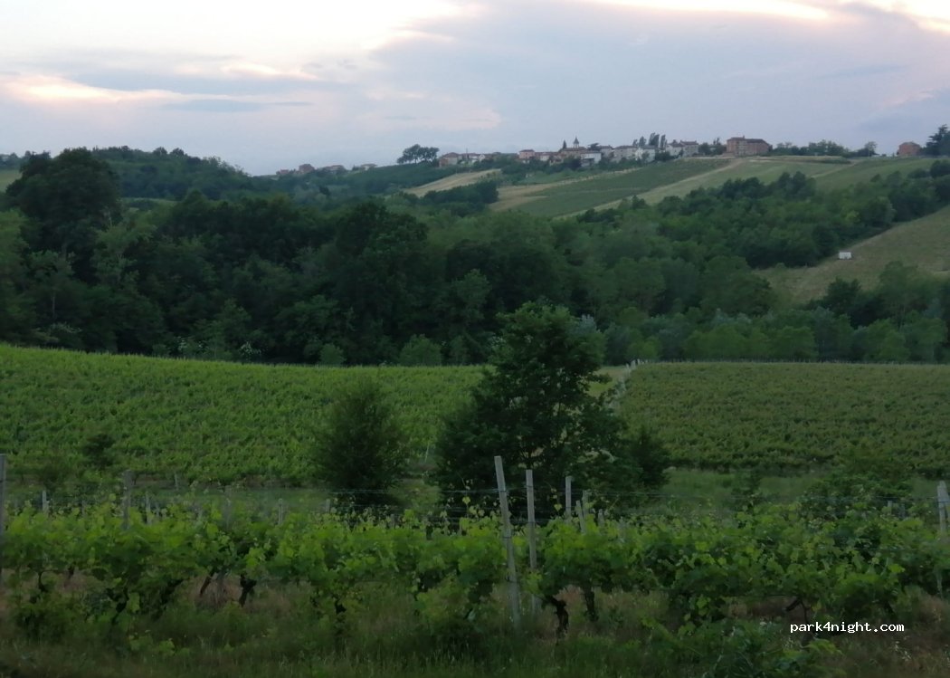 Cascina Viola — foto 2