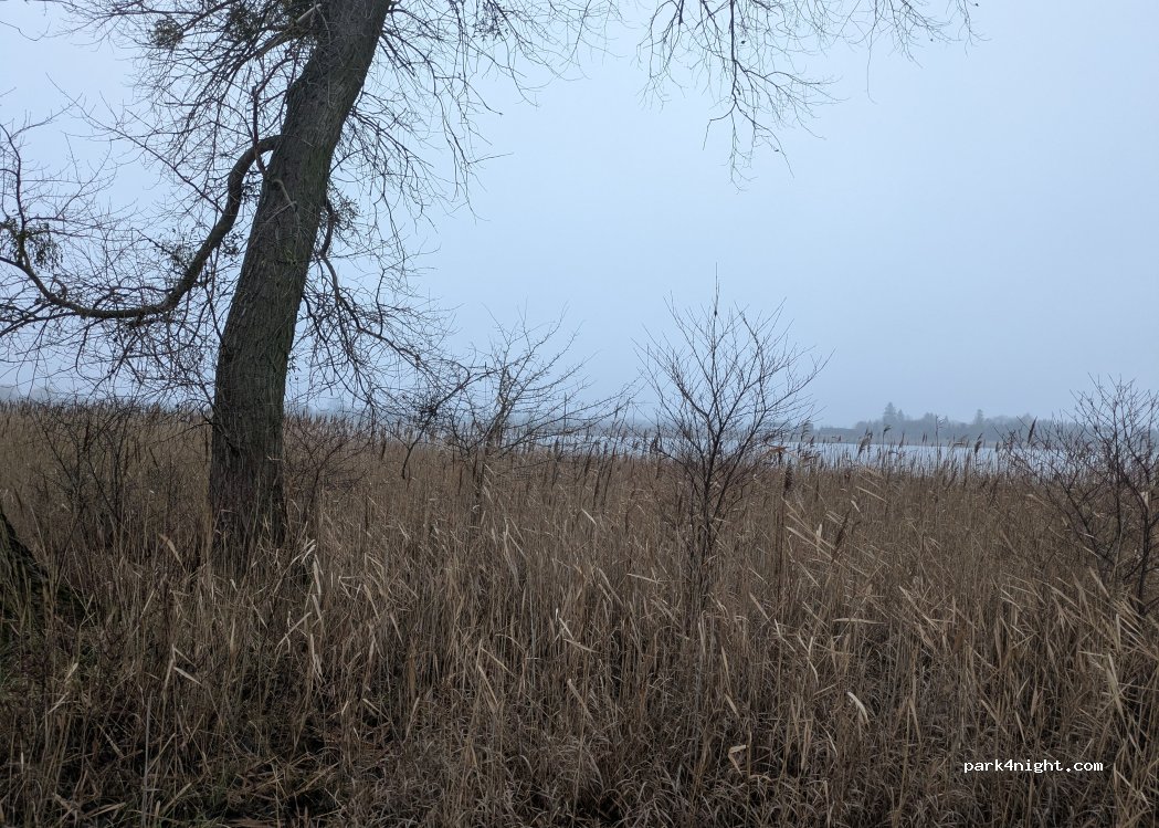(62) Bytyń - — foto