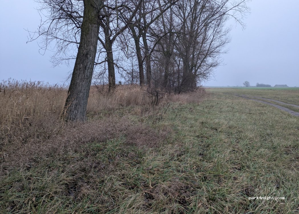 (62) Bytyń - — foto 3