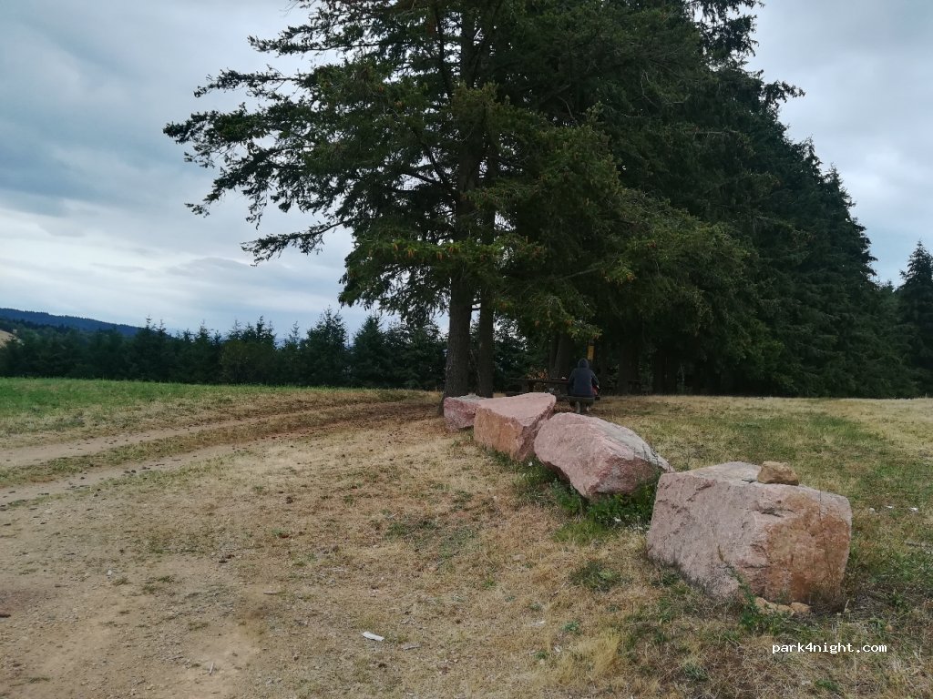 (69620) Dième - D106 — foto 3