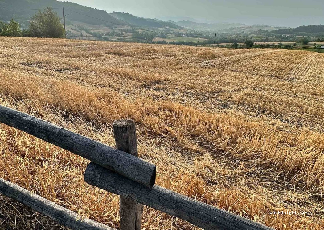 (15050) Cerreto Grue - Via Avolasca — foto 3