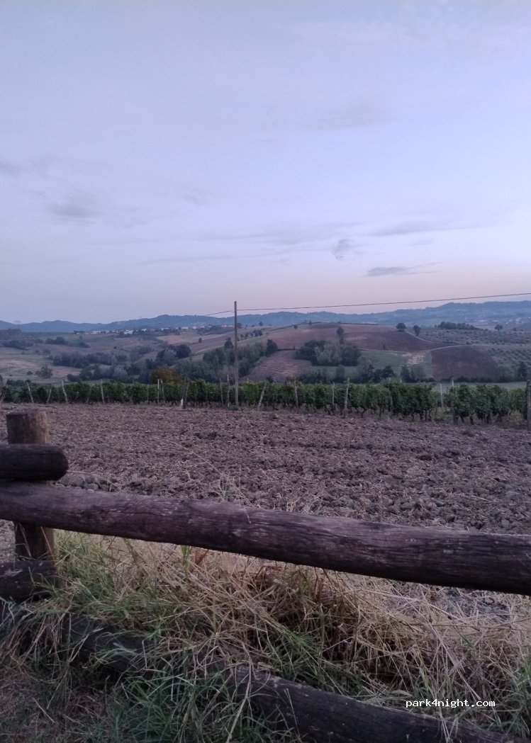 (15050) Cerreto Grue - Via Avolasca — foto 4