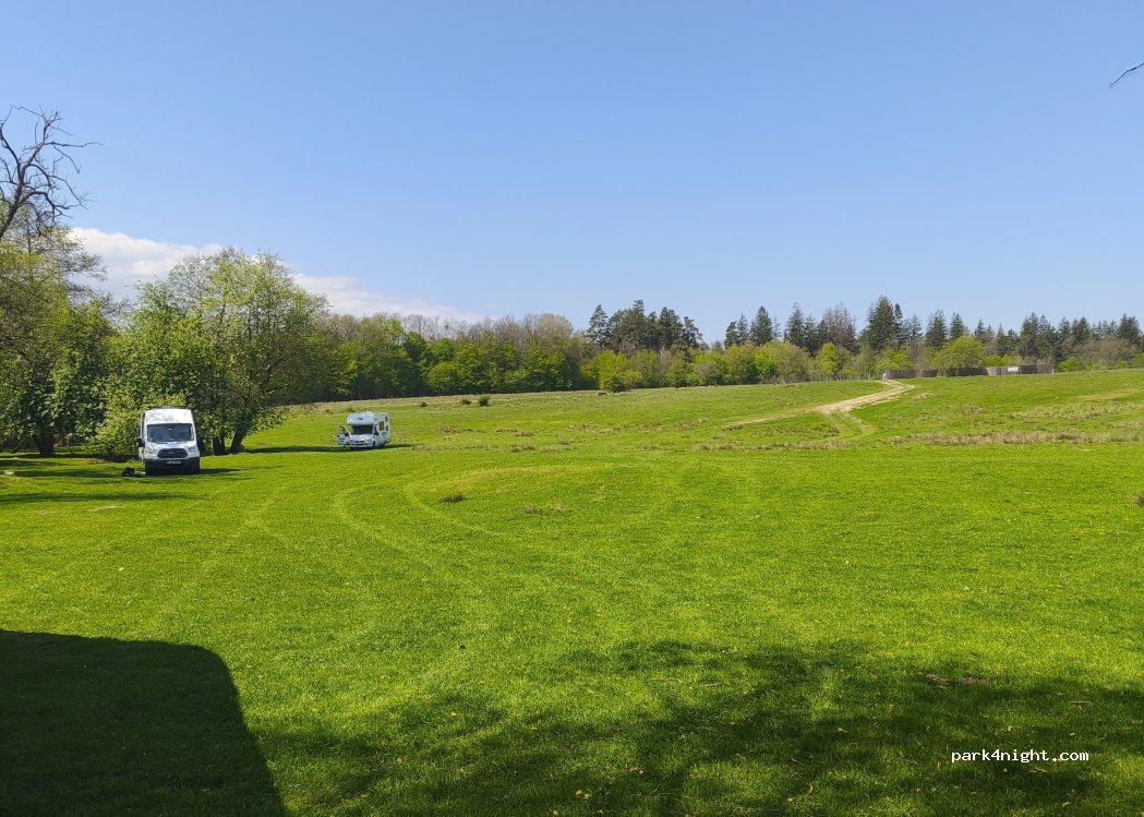 (507061) Vlădeni - — foto 5