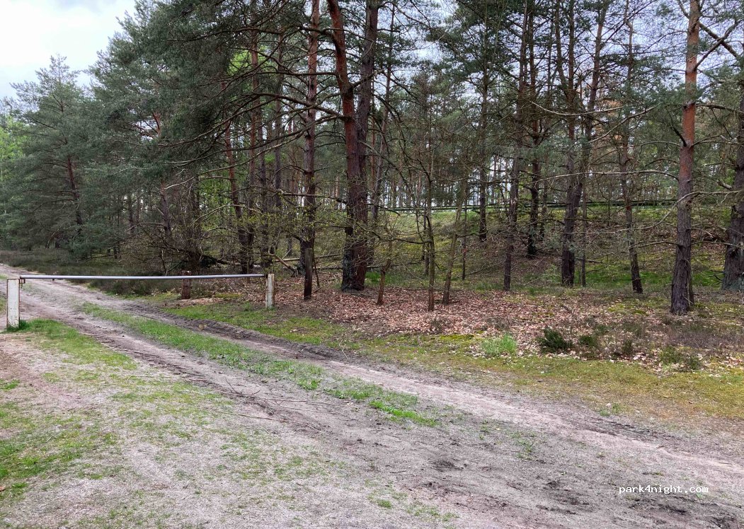 (38524) Sassenburg - — foto 2