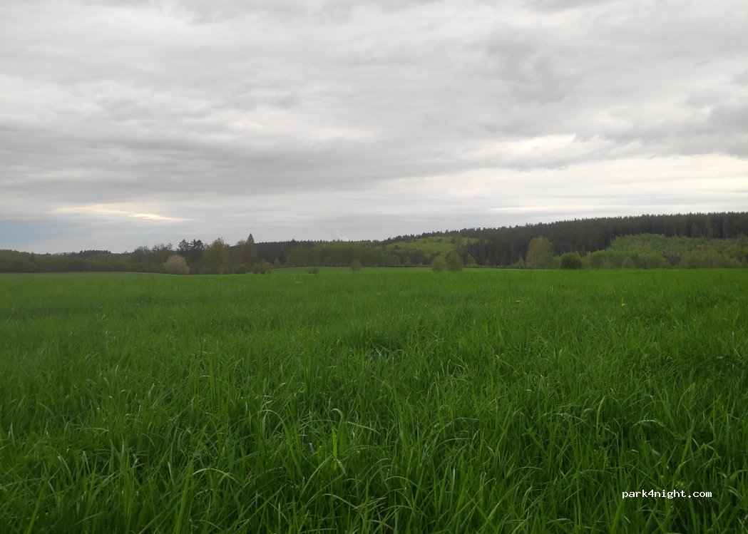 (52393) Hürtgenwald - — foto