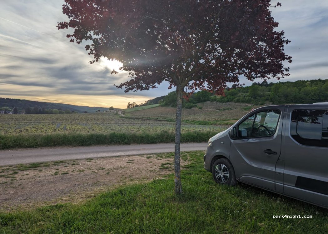 (21420) Savigny-lès-Beaune - — foto