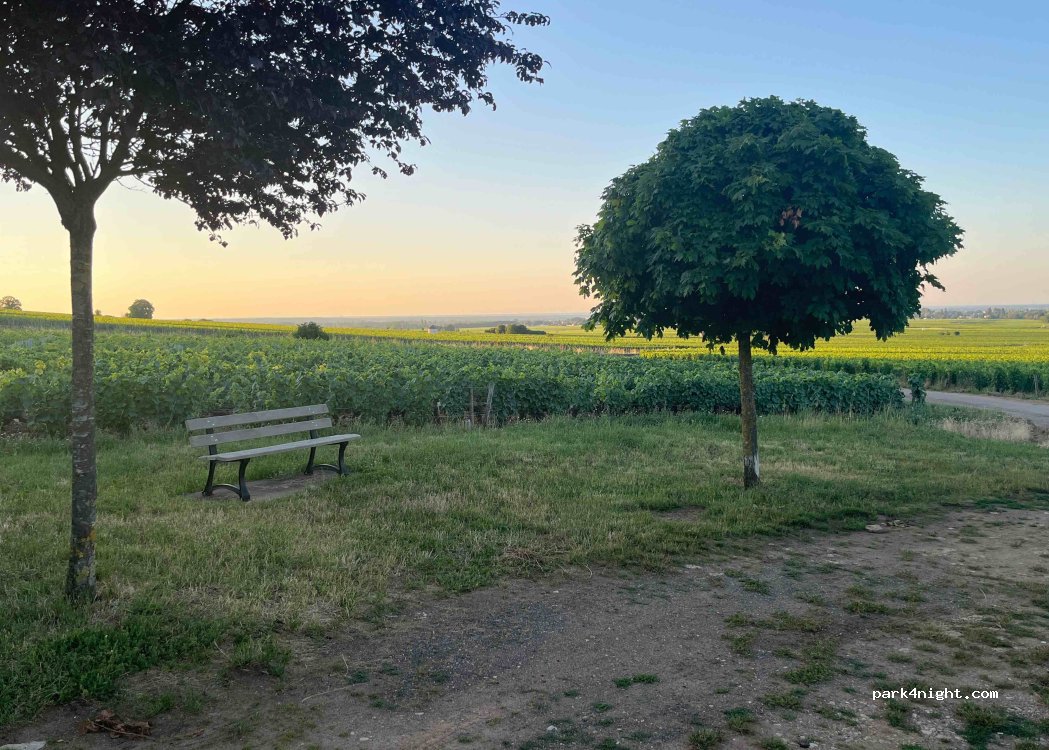 (21420) Savigny-lès-Beaune - — foto 2