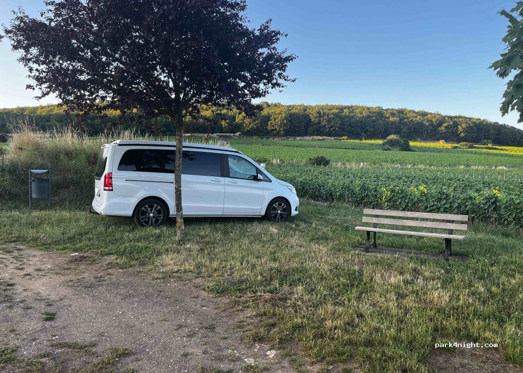 (21420) Savigny-lès-Beaune - — foto 3