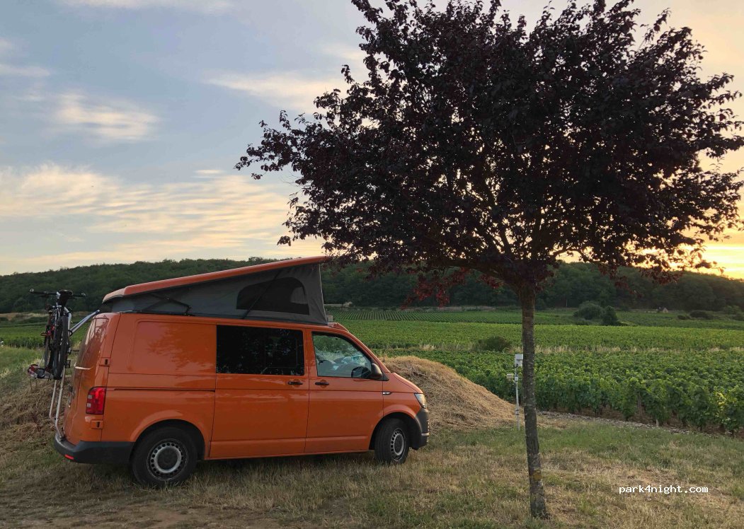(21420) Savigny-lès-Beaune - — foto 4