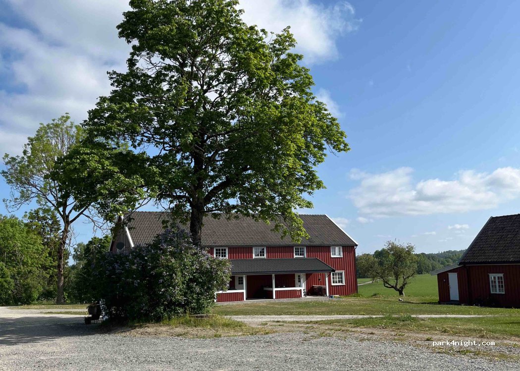 Norsk Urkorn — foto 2