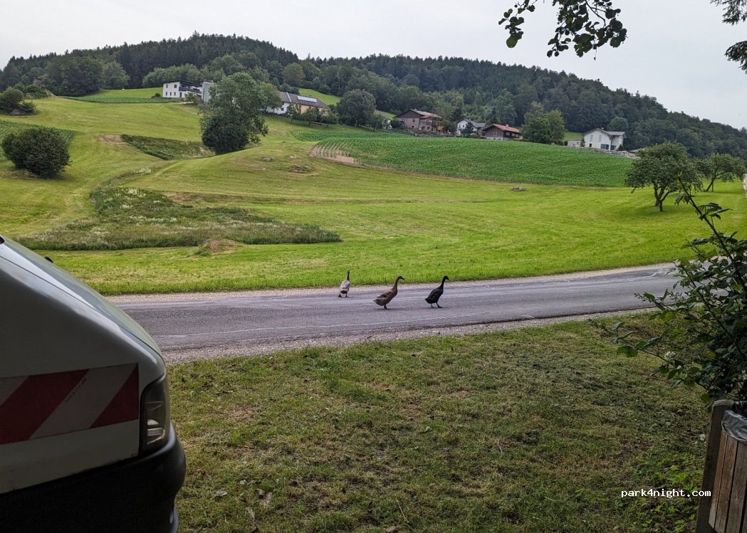 () Sankt Thomas am Blasenstein - Rechberg — foto 3