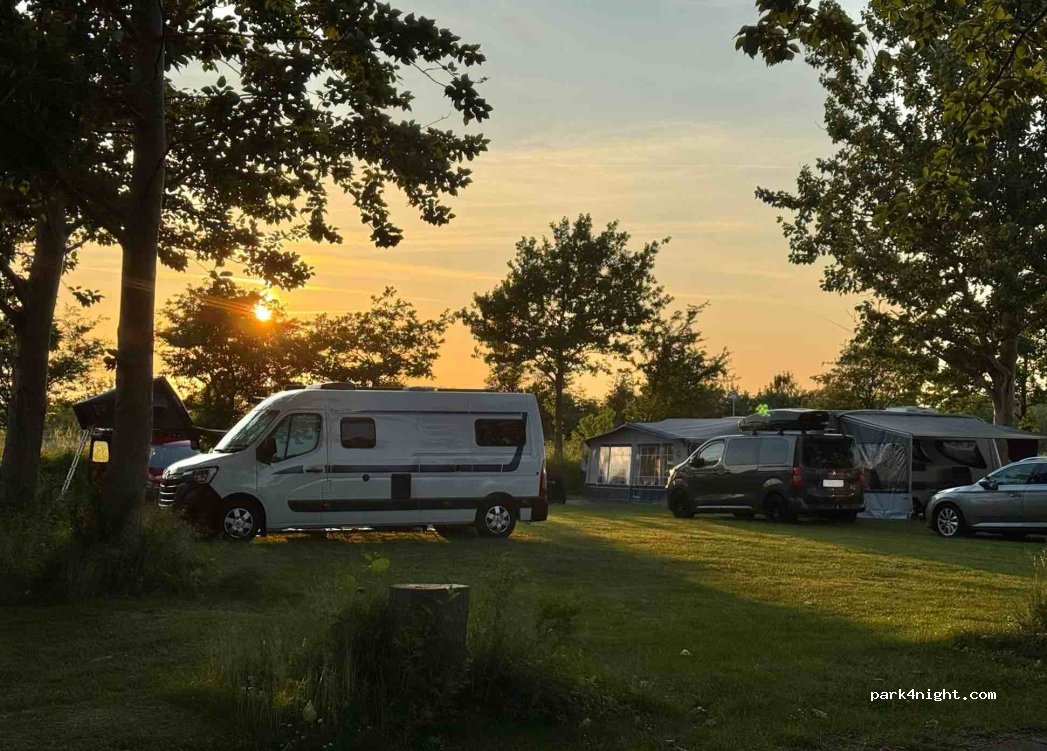 Tangloppen Camping — foto 5