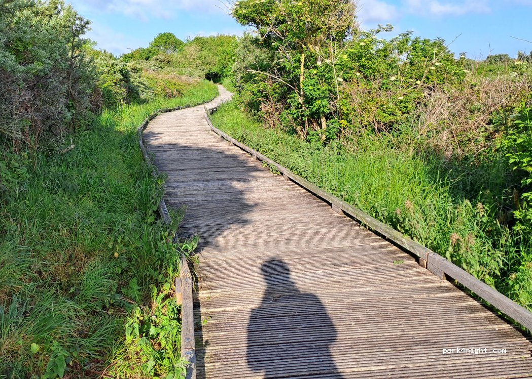 (62215) Oye-Plage - 1040 Route des Dunes — foto 5