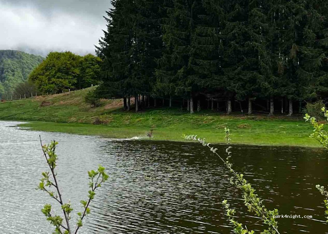 (15400) Le Claux - 1 Route de Lascourt — foto 2
