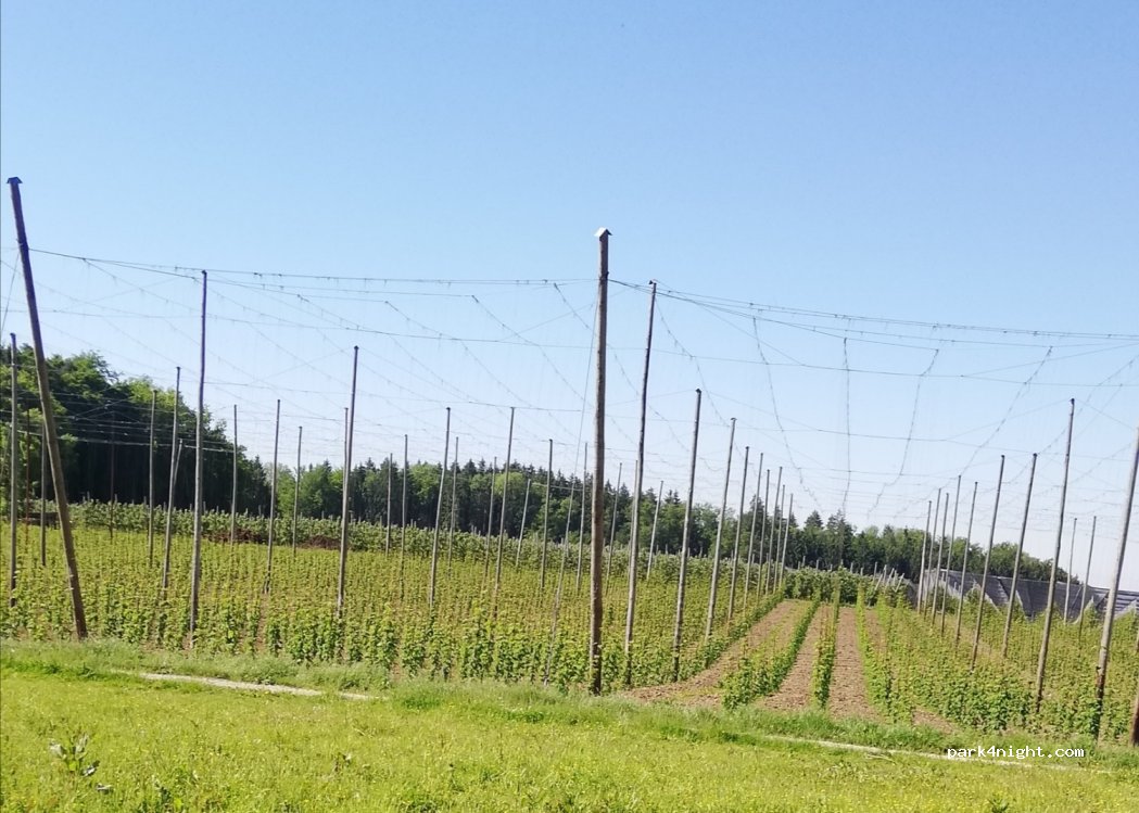 Amann's Hofladen — foto 2