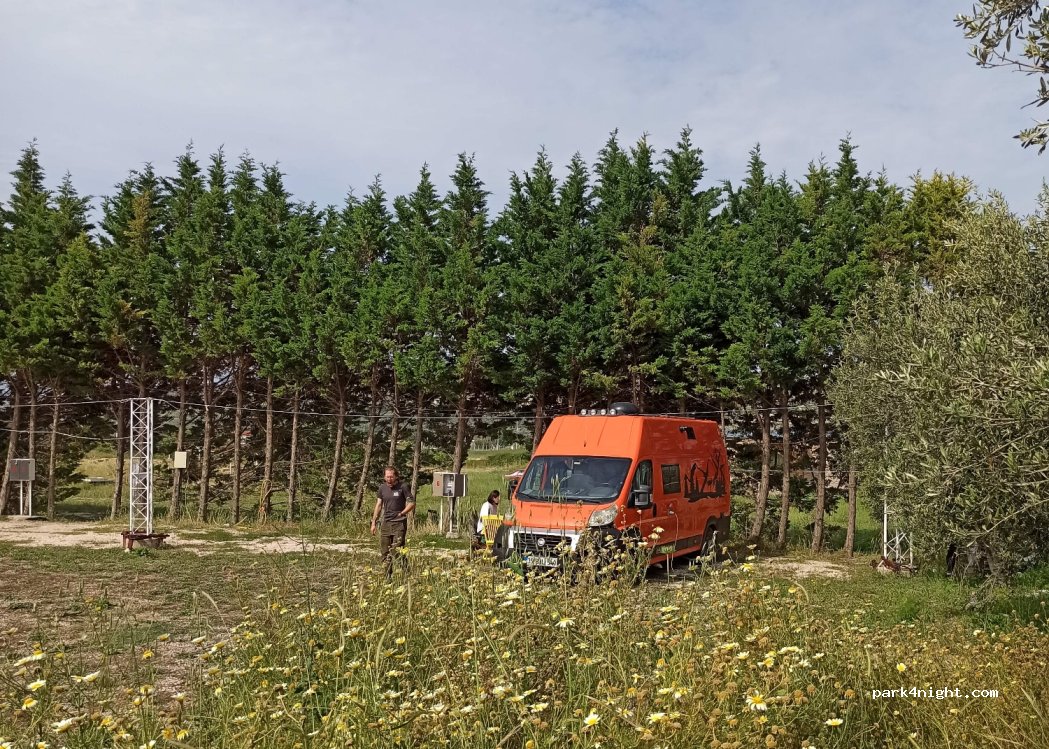Salaşk | VIP Restorant --VIP karavan parkı-kamp alanı — foto 3