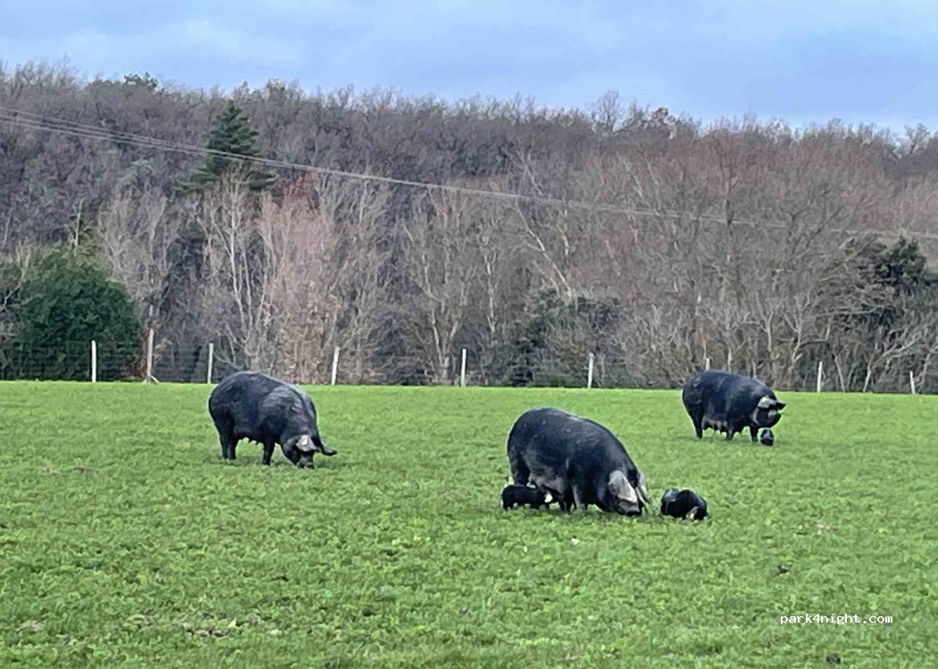 Ferme de Bajoffre — foto 3
