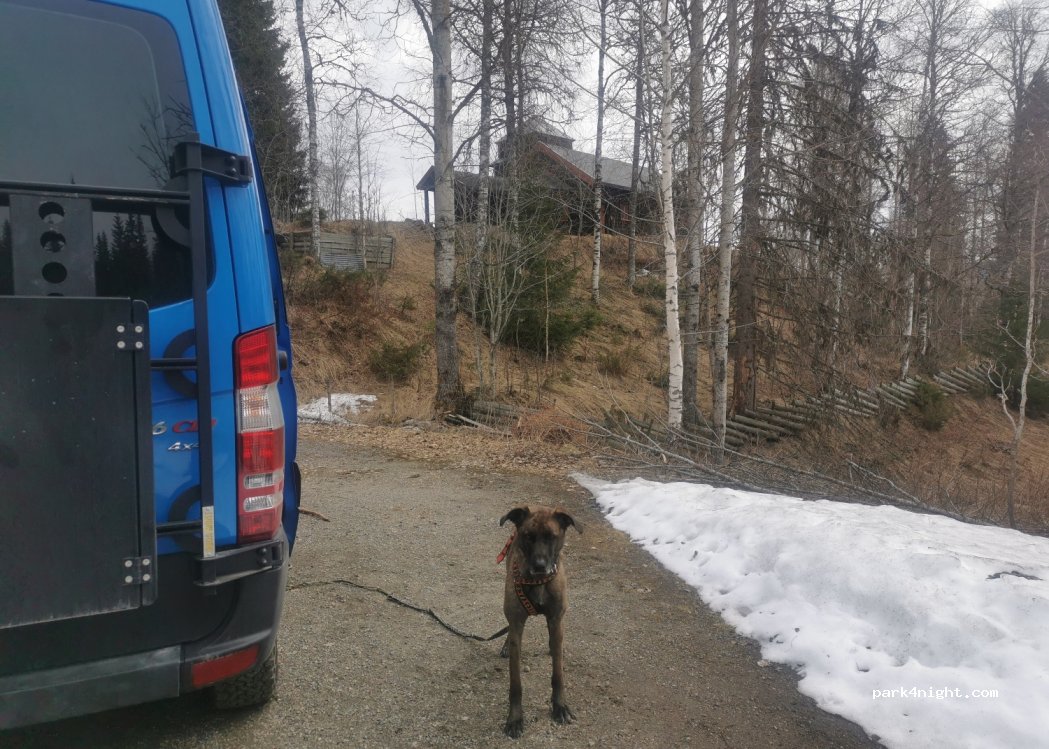 (2090) Hurdal - 170 Skrukkelivegen — foto 2
