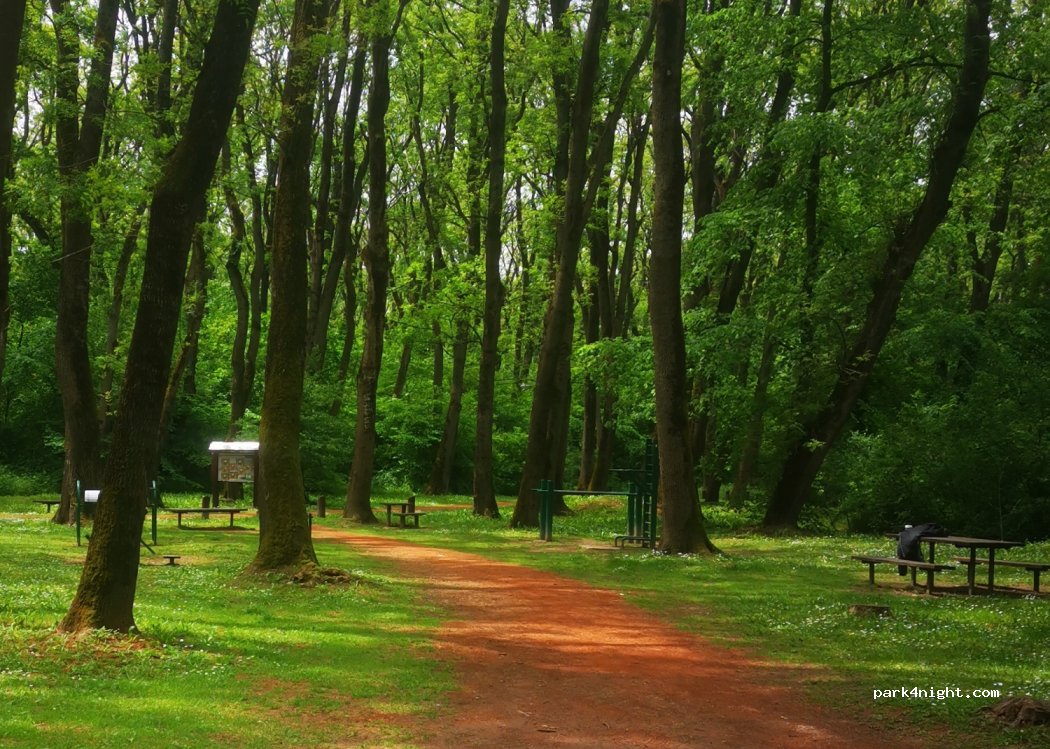 (210216) Obrenovac - Zabranski Put — foto 2