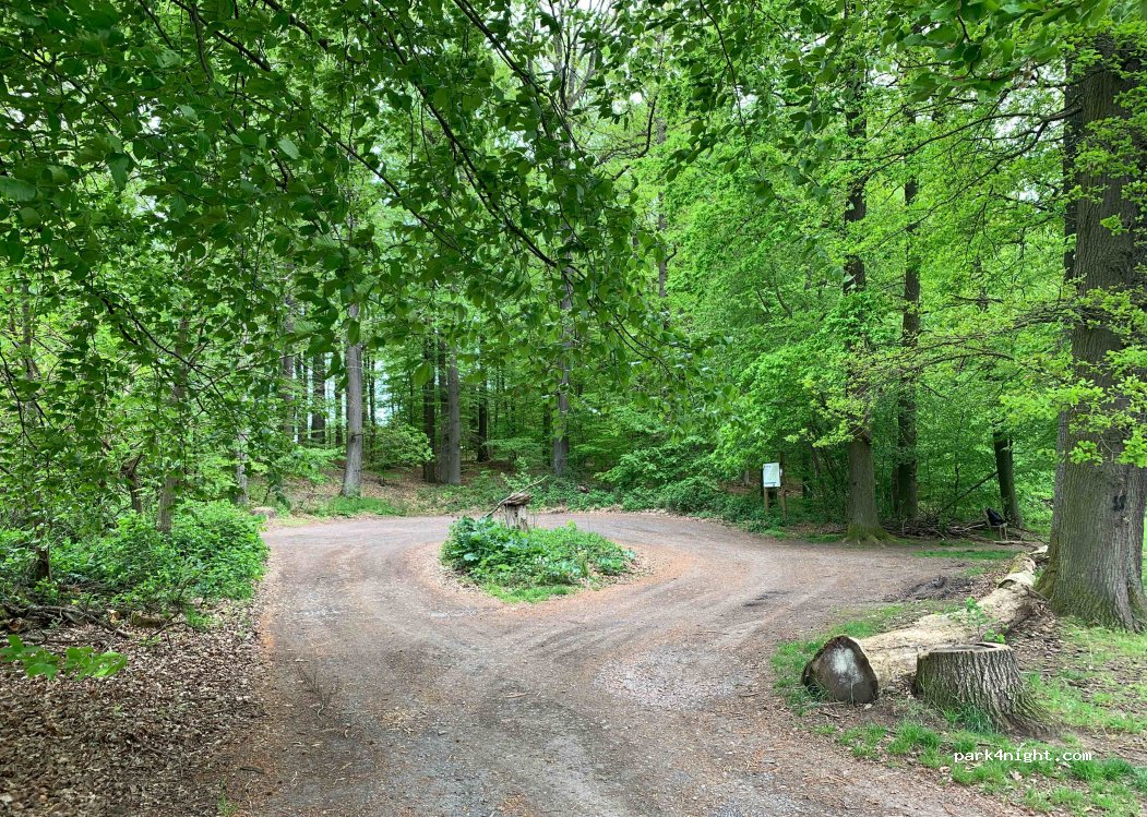 (63589) Linsengericht - — foto 2